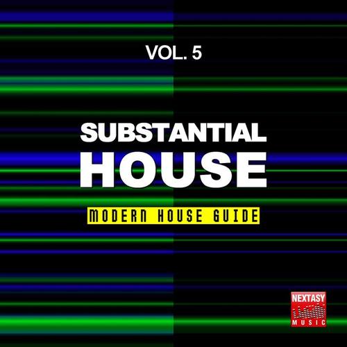 Substantial House, Vol. 5 (Modern House Guide)