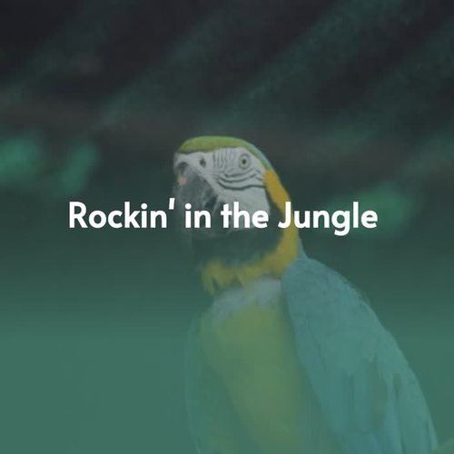 Rockin' in the Jungle