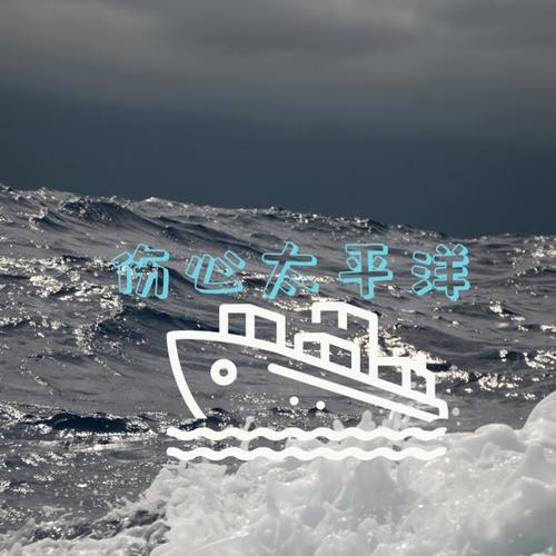 伤心太平洋（DJ散人版）