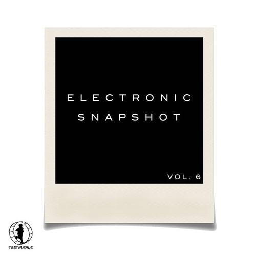 Electronic Snapshot, Vol. 6