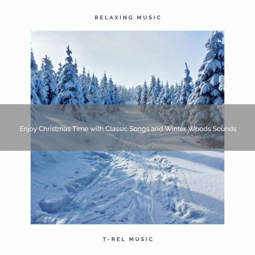 Enjoy Christmas Time with Classic Songs and Winter Woods Sounds