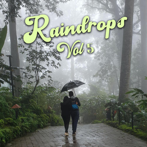 Raindrops Vol 5 (Explicit)