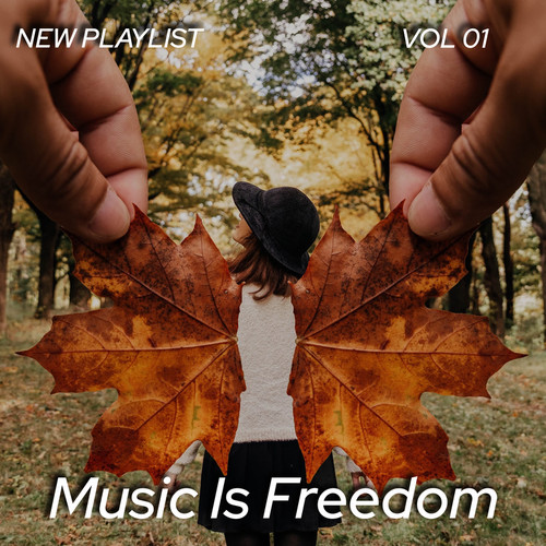 Music Is Freedom Vol 1 (Explicit)