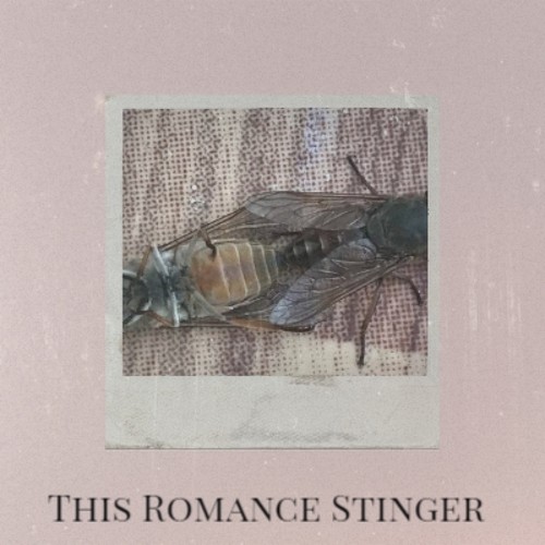 This Romance Stinger