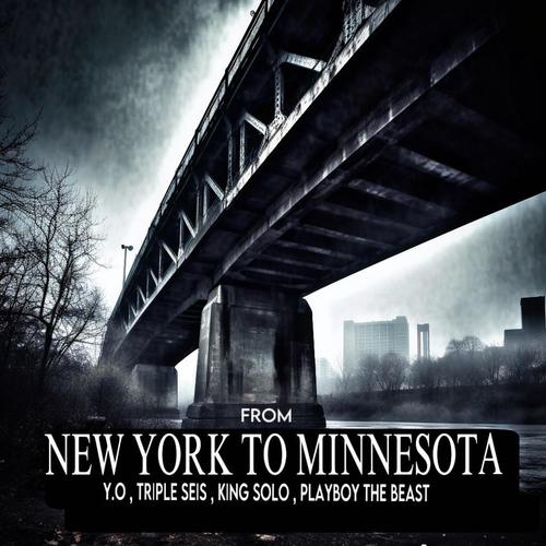 From NEW YORK To MINNESOTA (feat. Y.O, Triple Seis, King Solo & Playboy The Beast) [Explicit]