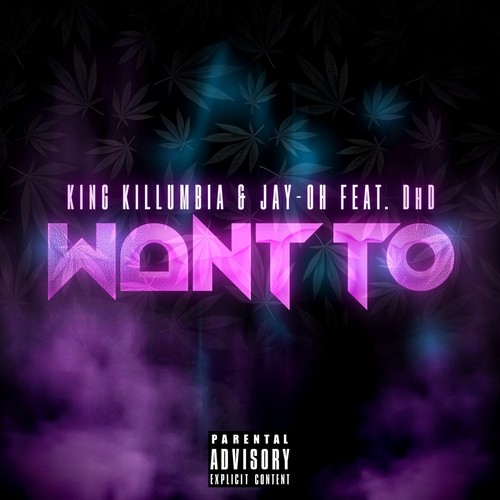 Want To (feat. DhD) [Explicit]