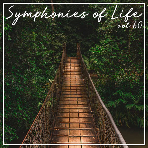 Symphonies of Life, Vol. 60 - Schubert, Matthus: Death and the Maiden, Maiden and the Death