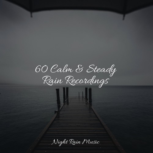 60 Calm & Steady Rain Recordings