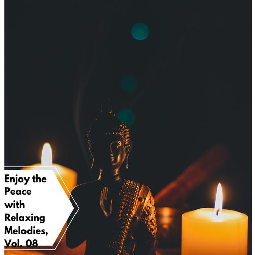 Enjoy The Peace With Relaxing Melodies, Vol. 08