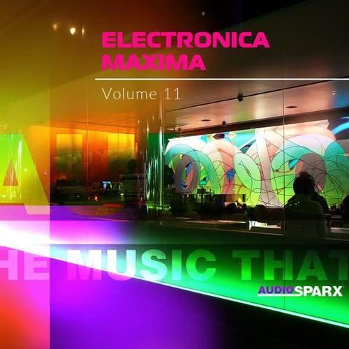 Electronica Maxima Volume 11