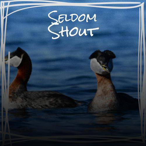 Seldom Shout