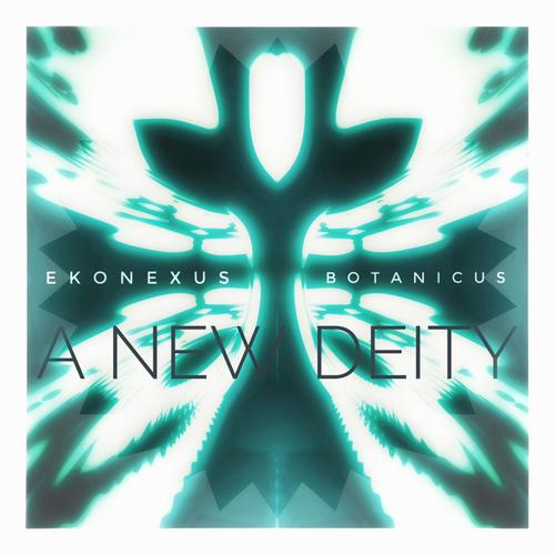 A New Deity (feat. botanicus)