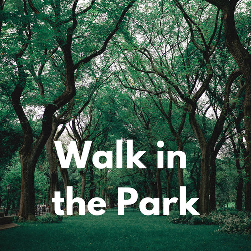 Walk In The Park (Explicit)