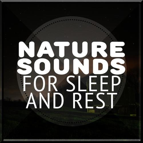 Nature Sounds for Sleep and Rest