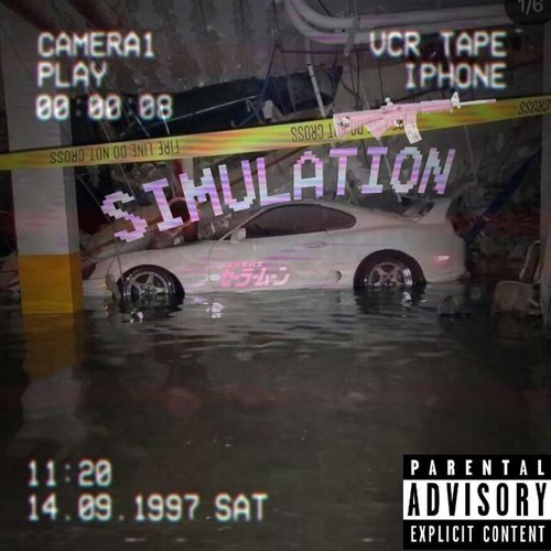 SIMULATION