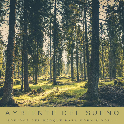 Ambiente Del Sueño: Sonidos Del Bosque Para Dormir Vol. 1