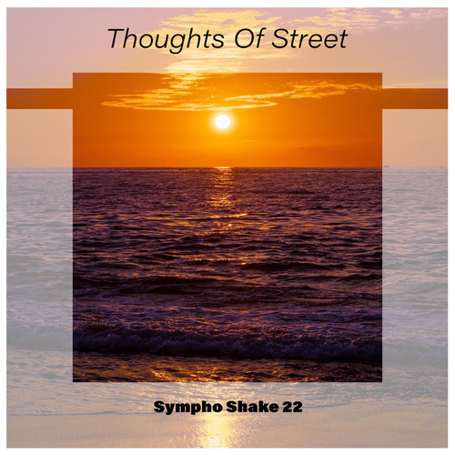 Thoughts Of Street Sympho Shake 22