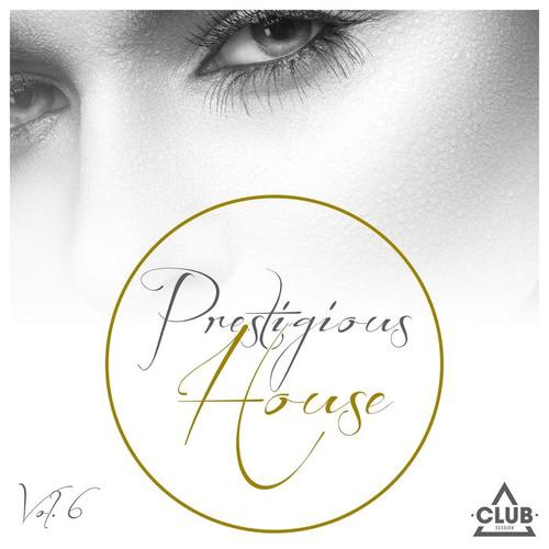 Prestigious House, Vol. 6