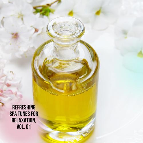 Refreshing Spa Tunes for Relaxation, Vol. 01