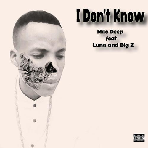 I don't know (feat. Big z & Luna) [Explicit]