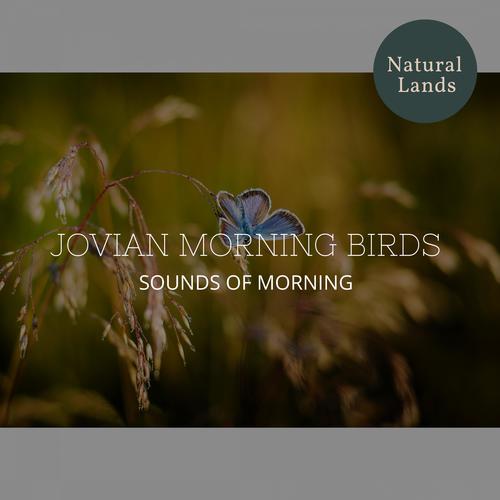 Jovian Morning Birds - Sounds of Morning