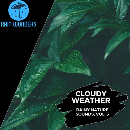 Cloudy Weather - Rainy Nature Sounds, Vol. 5