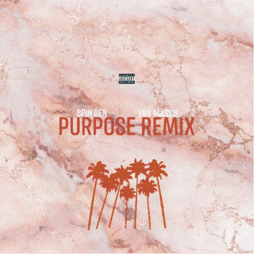 Purpose (Remix)