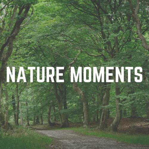 Nature Moments