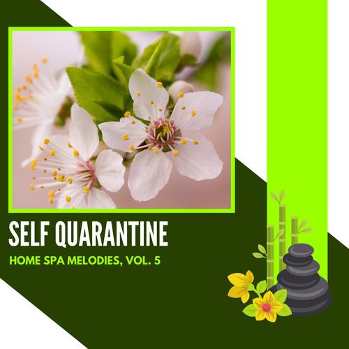 Self Quarantine - Home Spa Melodies, Vol. 5