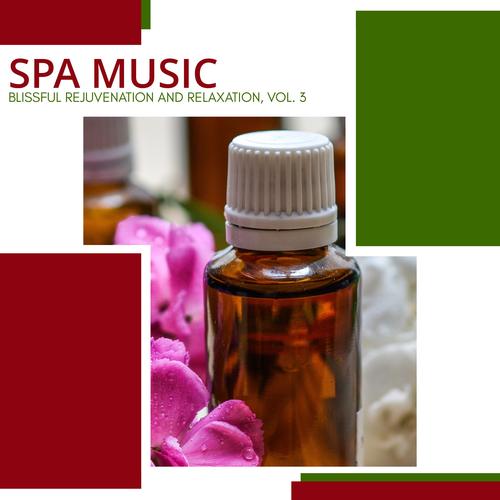 Spa Music - Blissful Rejuvenation And Relaxation, Vol. 3