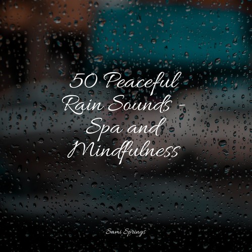 50 Peaceful Rain Sounds - Spa and Mindfulness