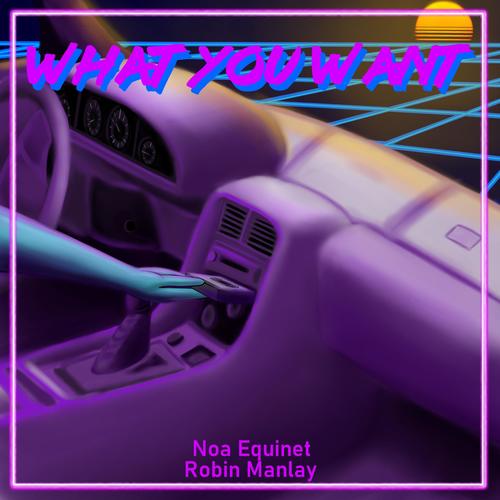 What You Want (feat. Noa Equinet)