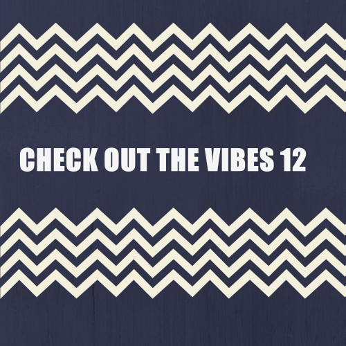 CHECK OUT THE VIBES 12