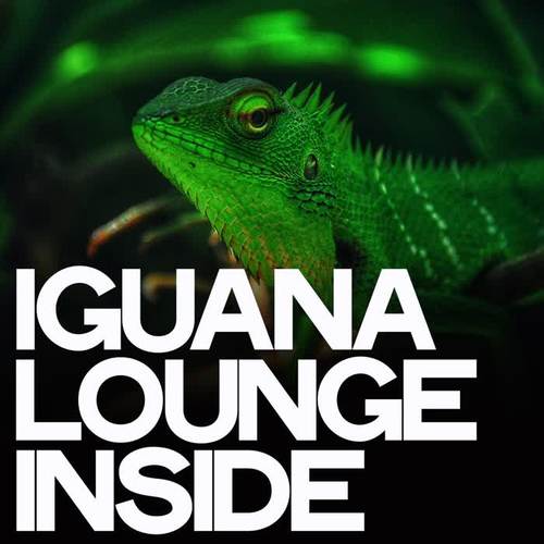 Iguana Lounge Inside