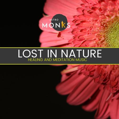 Lost in Nature - Healing and Meditation Music