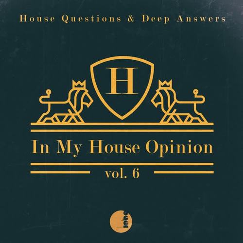 In My House Opinion, Vol. 6 (House Questions & Deep Answers)