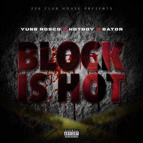 Block Is Hot (feat. Hotboy & Gator) [Explicit]