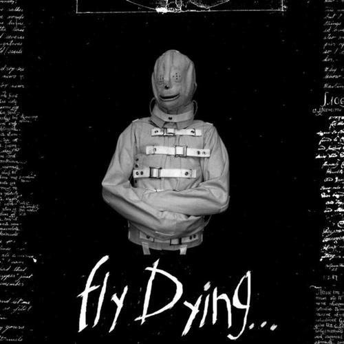 Fly Dying - Black