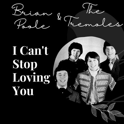 I Can't Stop Loving You - Brian Poole and The Tremoles