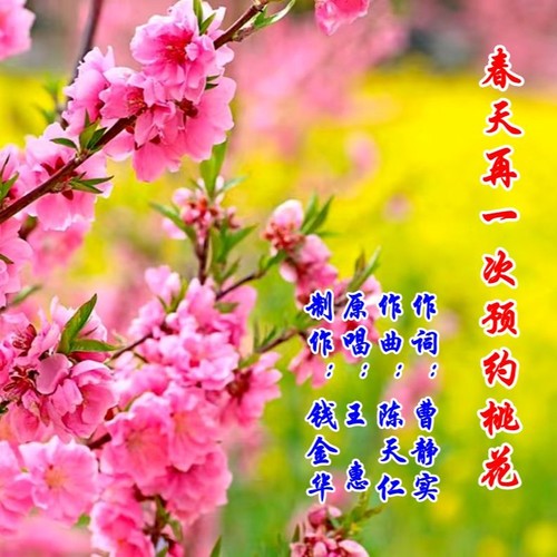 春天再一次预约桃花（王惠原唱）
