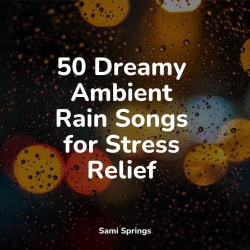 50 Dreamy Ambient Rain Songs for Stress Relief