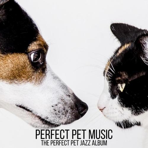 The Perfect Pet Jazz Album