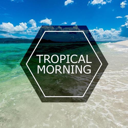 Tropical morning