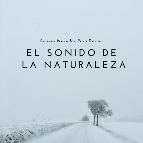 El Sonido De La Naturaleza: Suaves Nevadas Para Dormir