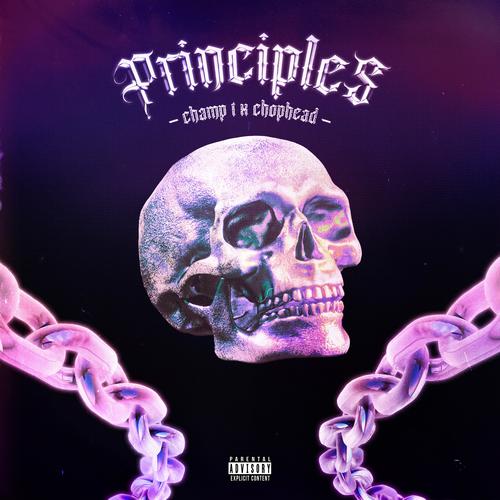 Principles (Explicit)