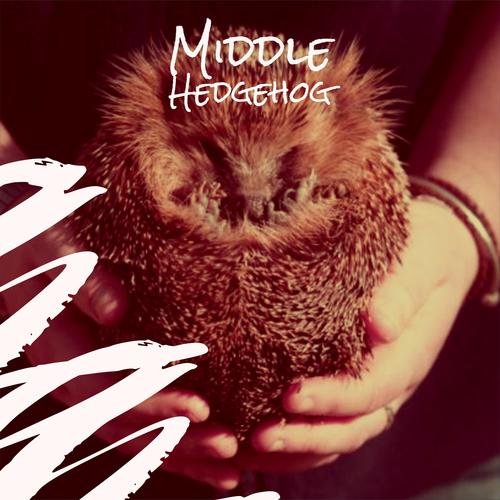 Middle Hedgehog