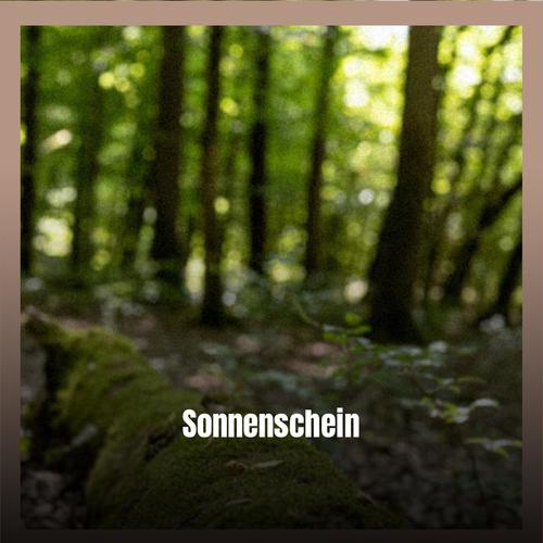 Sonnenschein
