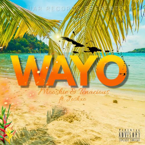 Wayo (feat. tenacious & joshxo) [Explicit]