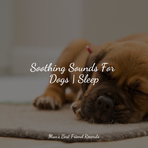 Soothing Sounds For Dogs | Sleep