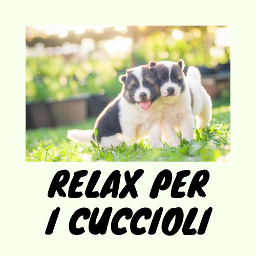 Relax Per I Cuccioli